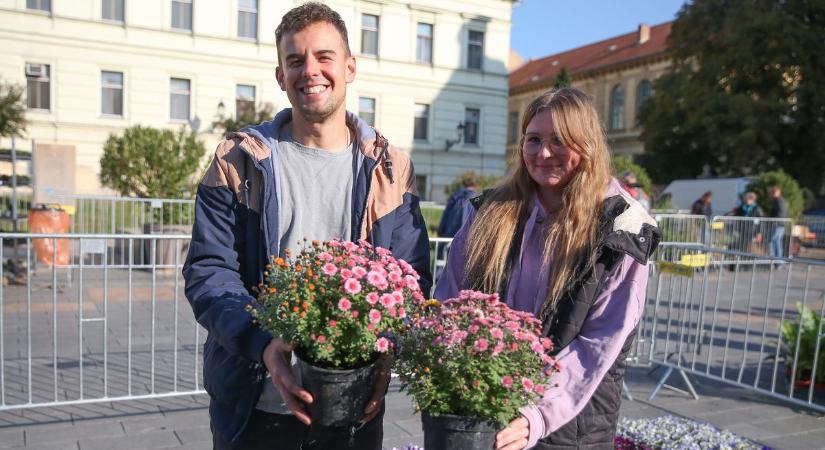 Színpompás kínálat az őszi növényvásáron (GALÉRIAVIDEÓ)