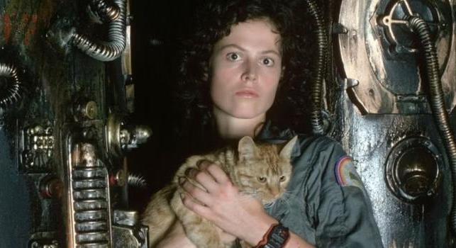 Sigourney Weaver „egy nagyon másfajta" Alien-filmről tárgyal, amiben újra Ellen Ripley lenne