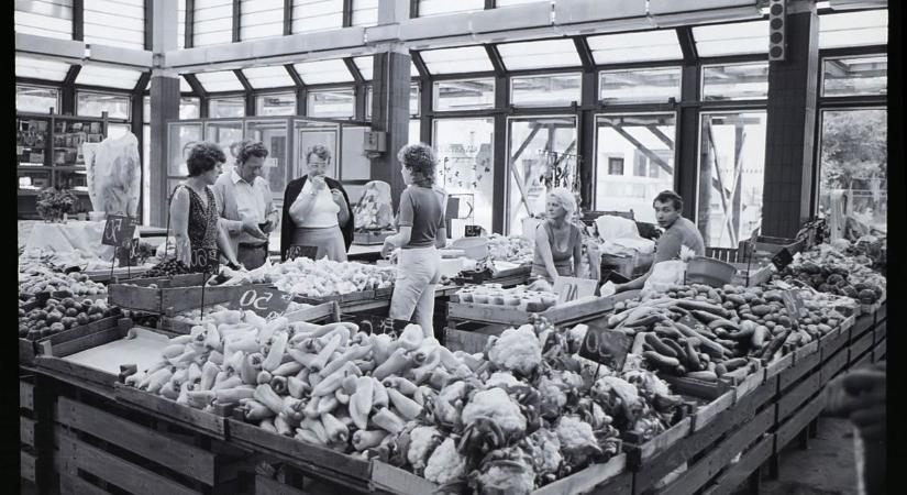 Légkondi sehol sem volt, de egy Leó jutott a gyerekek kezébe, Wartburg és benzingőz a balatoni kompkikötőben