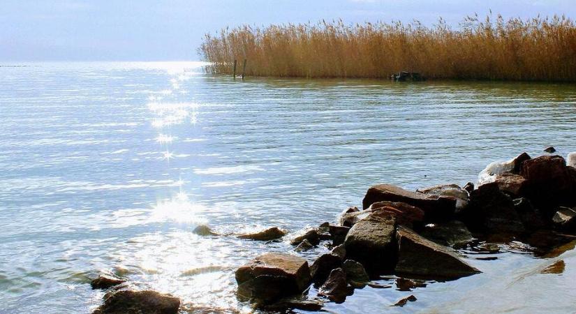 Kombájnok a Balatonban? Furcsa terv született a tó hasznosítására