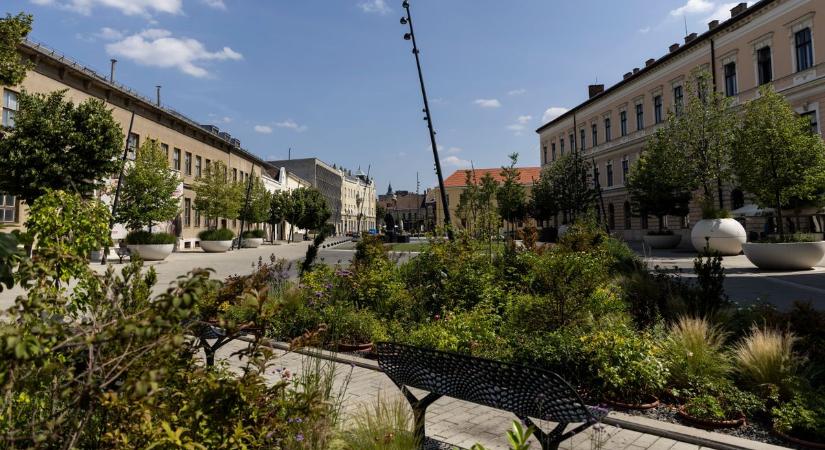 Két debreceni intézményben is bezárásra készülnek! Mutatjuk az okát!