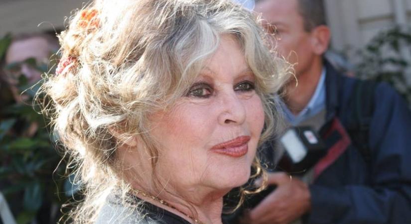 A 91 éves Brigitte Bardot hazamehetett a kórházból: ilyen most a színésznő állapota
