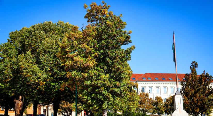 Elképesztő felvételek! Csodás őszi színekkel csábítja a turistákat a bor városa (képgalériával)