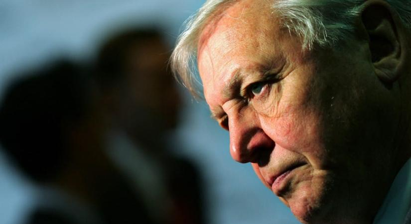 Sir David Attenborough 99 évesen történelmet írt