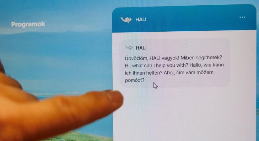Hali mindent tud Vonyarcvashegyről – chatbot segíti a lakosokat és a nyaralókat
