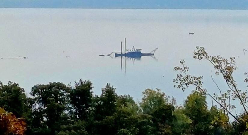 Videó: Furcsa monstrum úszik a Balaton vizén