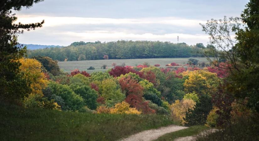 Páratlan panoráma a balatongyöröki Szépkilátóról ( videó)