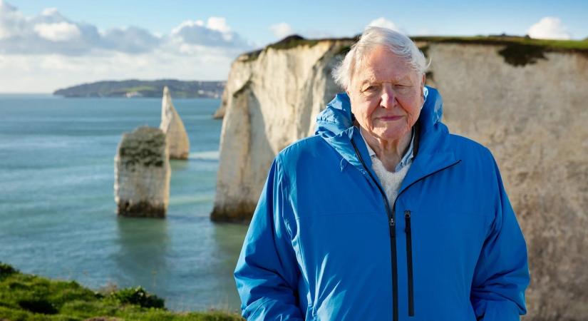 David Attenborough lett a legidősebb Daytime Emmy-díjas