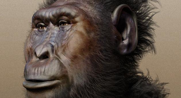 Paranthropus boisei: az első szerszámkészítő?