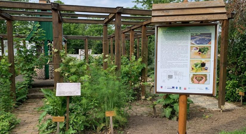 Vidéki turizmus: a mangán, az őskarszt és a kristály világában jártunk