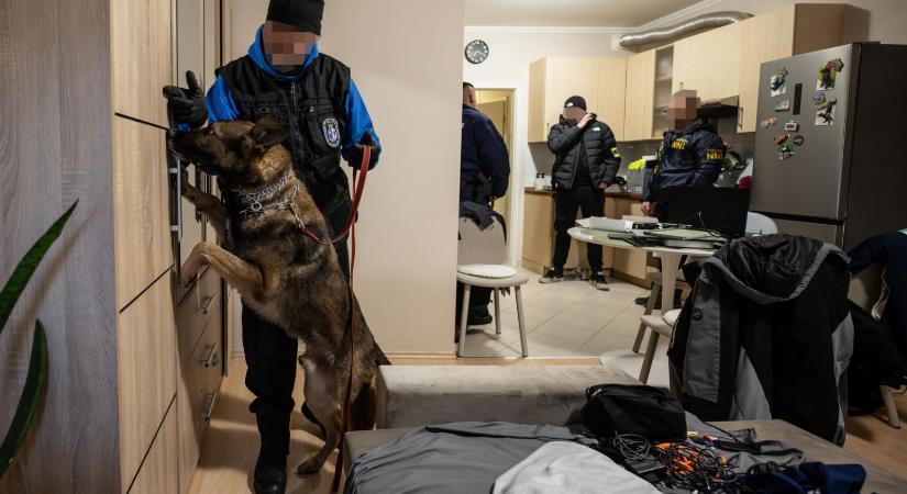 Bébiételnek, kutyatápnak, mosópornak álcázták a drogot – Hatalmas online-bűnszervezetet számolt fel a rendőrség