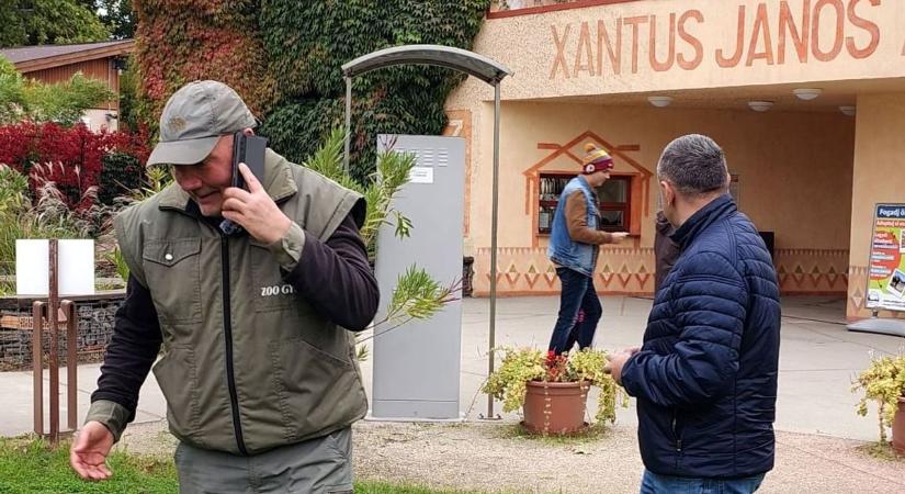 Furcsa felvétel jelent meg a győri állatkerttel kapcsolatban – videó