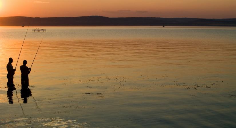 Elfajult a helyzet a Balatonnál: durva, mit találtak a tónál