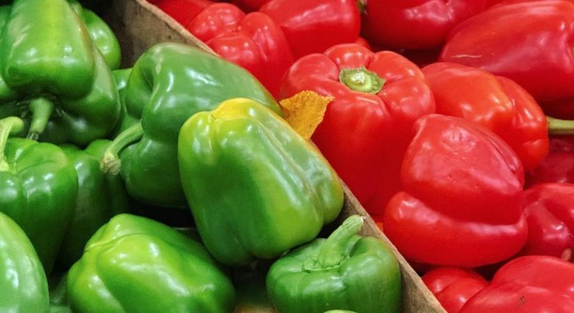 Késik a paprika, gyengélkedik a paradicsom – vegyes szezonkezdés Almeríában