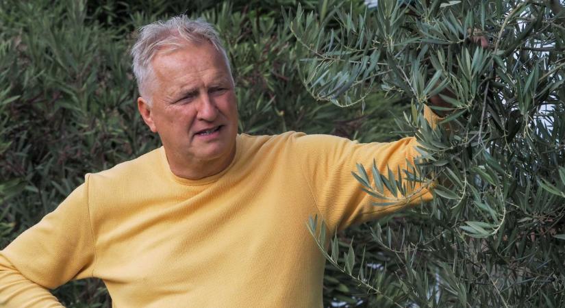 Olívaolaj a Balaton-felvidékről: Török Csaba sikertörténete (galéria)
