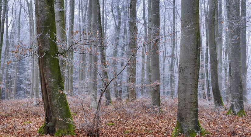 Ízelítőt kapunk a télből, komoly hőingadozással kell számolni, kelleni fog a vastag kabát