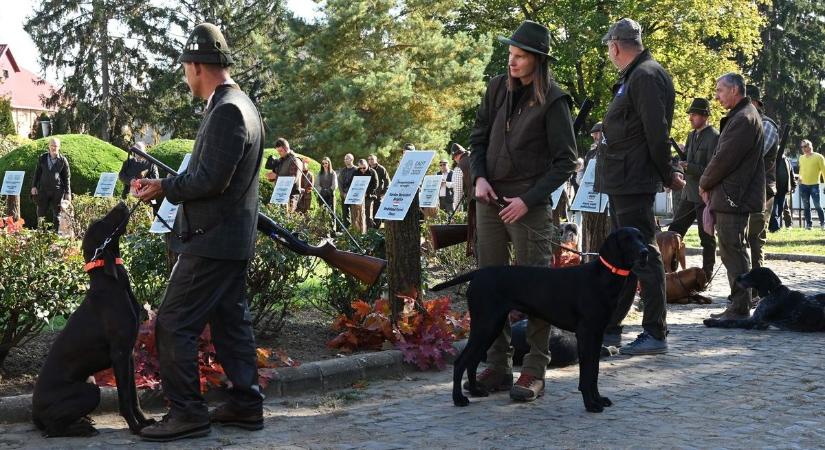 Magyar, német, olasz vizslák ugatásától hangos Vásárosnamény (galéria)