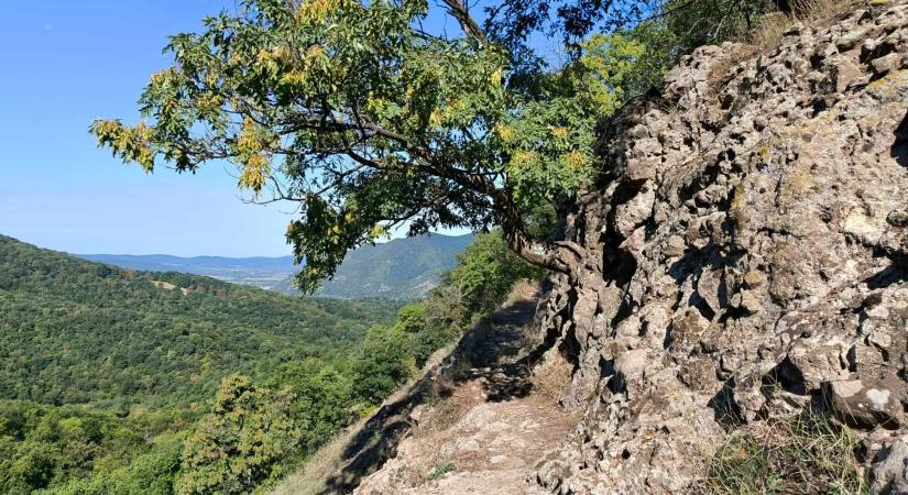 Spartacus-ösvény: A Dunakanyar sziklás-panorámás túraútvonala