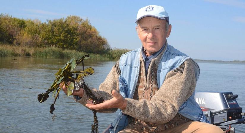Hogy mi az istennyilát szüretelnek a Tisza-tavon?! Most fény derült a rejtélyre – videóval
