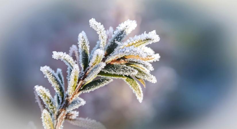 Mínusz 6,6 fokig hűlt a levegő – újabb szezonrekord született