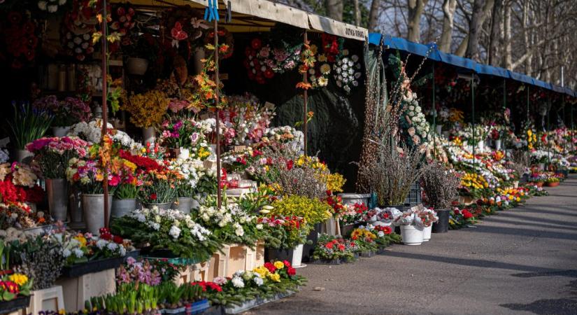 NAV-razzia várható a jövő héttől: listán, hol csaphatnak le az ellenőrök