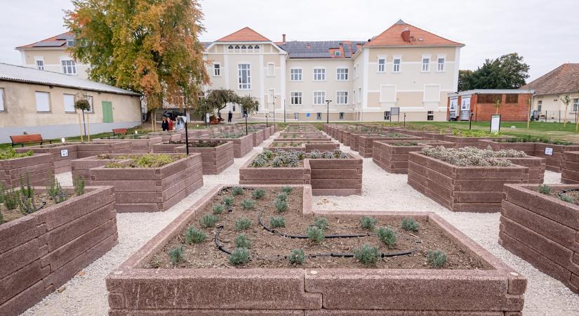 Ez már a jövő: okoskert és mesterséges intelligencia az óvári egyetemi farmon