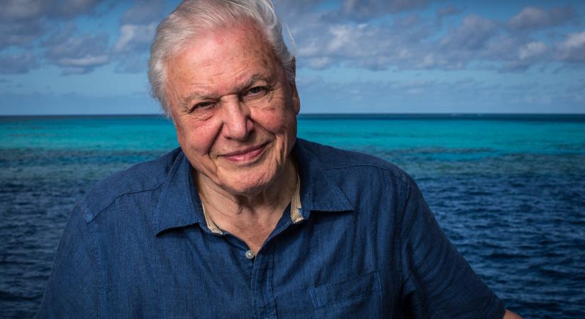 Történelmet írt David Attenborough