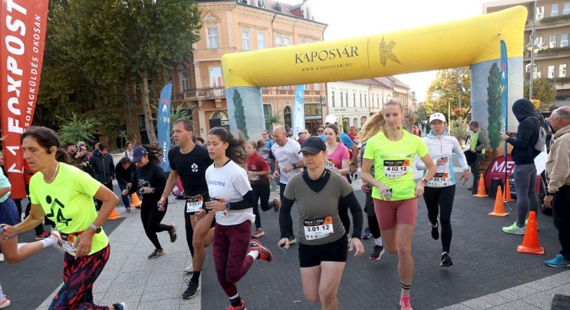 Kaposvár főteréig űzték a rókákat Szigetvárról – fotó