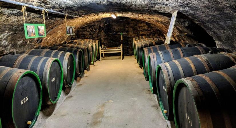 Emberéletet követelt az erjedő bor