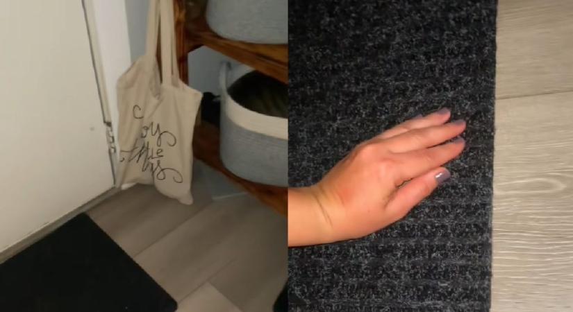 Keserves kiscica nyávogást hallott éjjel, de megdöbbentette a hang valódi forrása