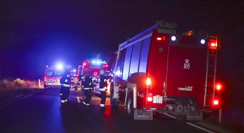 Vadat gázolt egy autó a 23-as főúton, a tűzoltók is a helyszínre vonultak