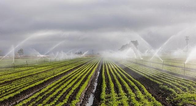 Hubai Imre: a tájban tárolt vízkészletek növelésével tudnak segíteni a gazdáknak az Alföldön