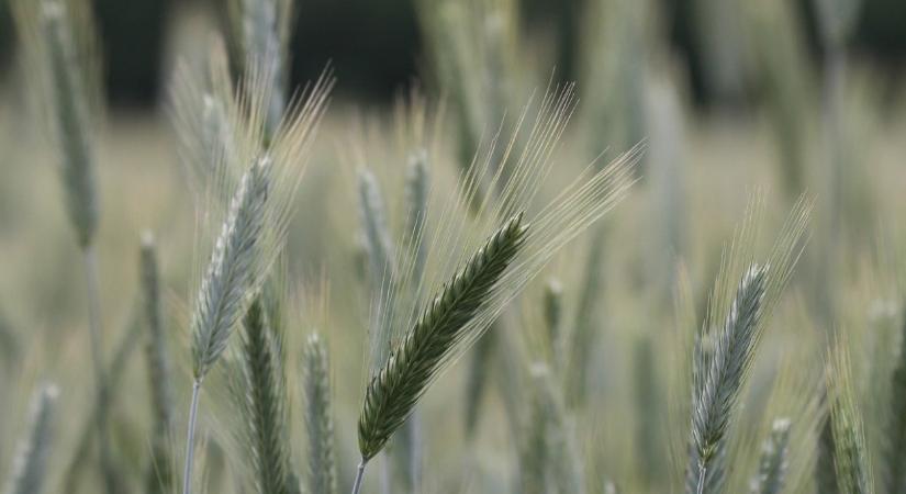 ARASZ Gazdálkodási Napló és Farm menedzsment!