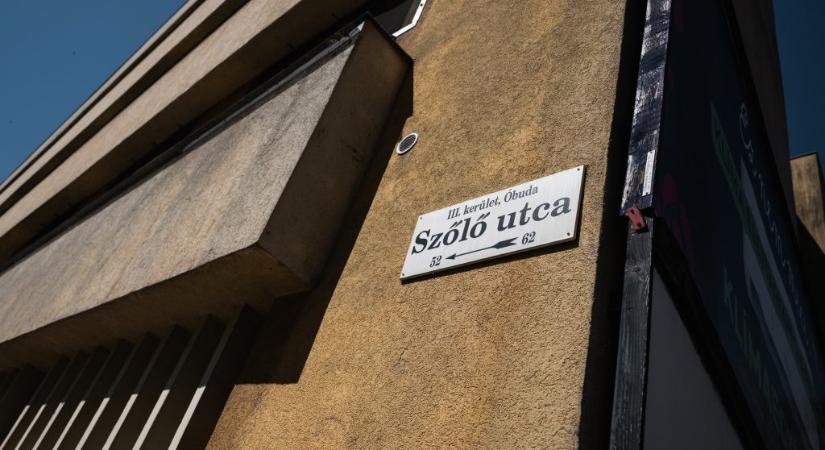 Publicius: a magyarok 58 százalék szerint a rendőrség felsőbb utasításra „elfektette” a Szőlő utcai ügyet