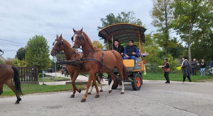 Hangulat, hagyomány, közösség: újra megtelt élettel a szüreti felvonulás! (Galéria)