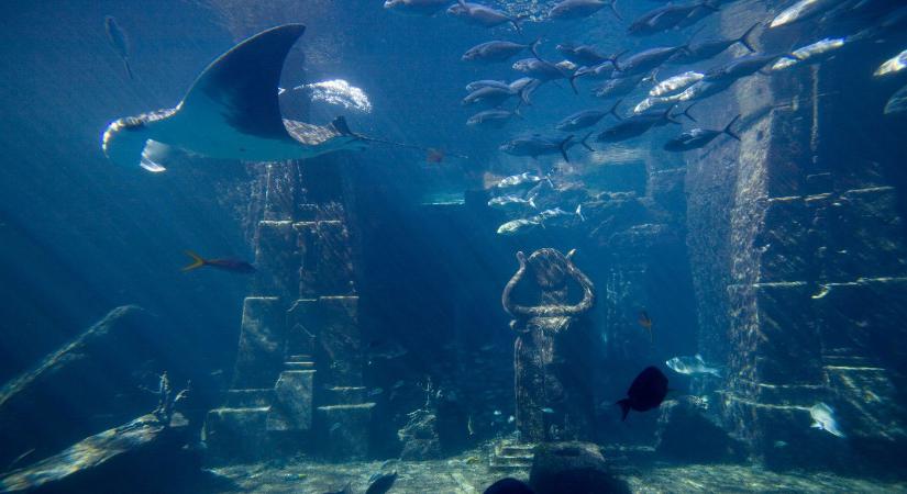 Megtalálták Atlantiszt, sokkoló videó szivárgott ki a felfedezésről, pedig titkolni akarták, egyértelmű hogy ez a legendás város