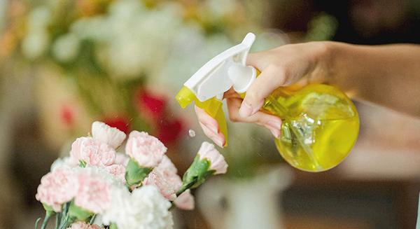 Fura növényvédőszerek: sör, tej, ecet…