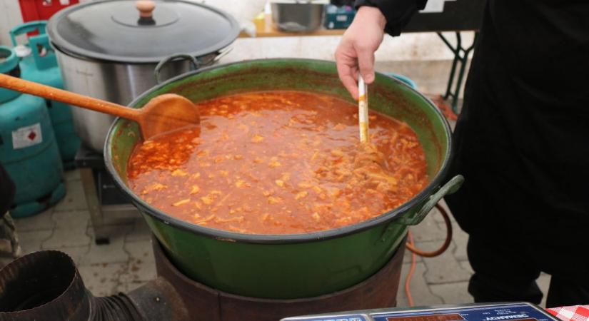 Ezreket vonzott Dunapatajra az első hazai Pacal Piknik, sorok álltak a jegyekért – fotók