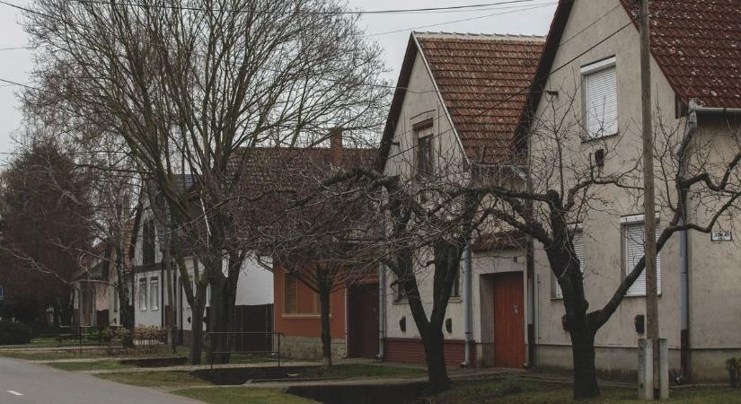 Erre senki nem számított! Így ért véget a Hajdú-Biharban csatangoló állat kalandja – videóval