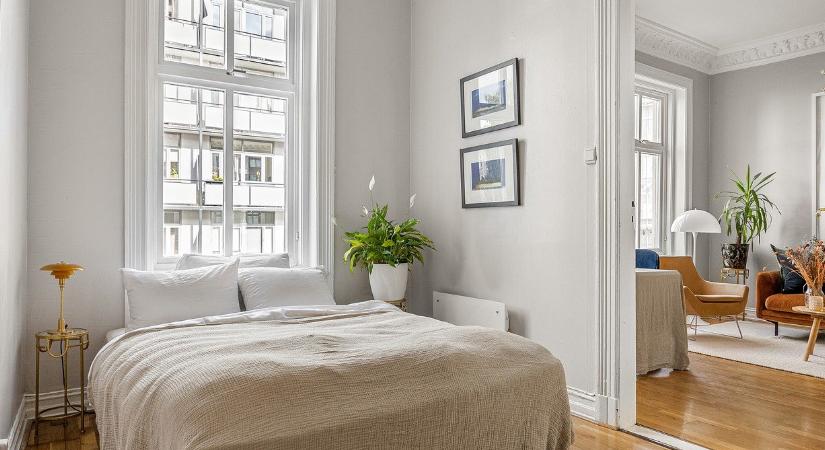 A Feng Shui szerint ebbe a helyiségbe tilos szobanövényt helyezni