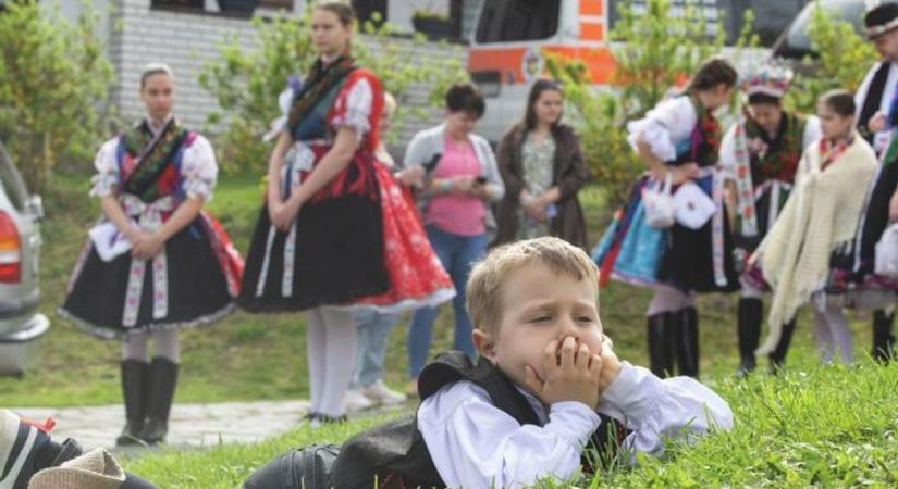 Nincs megnyugvás: folytatódik a Mecsek Táncegyüttes kálváriája