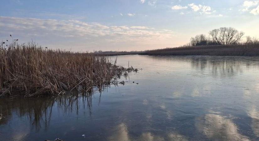 Apróságot fogott a Tisza-tónál, de furcsálta a halat a horgász