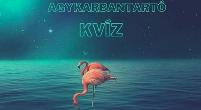 KVÍZ - Ezt az agykarbantartó kvízt tízből kilencen ajánlják! Napi zsenimérő