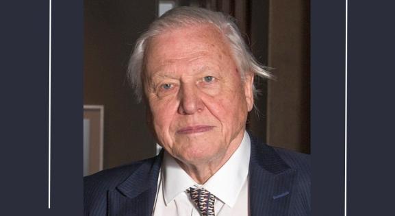 A 99 éves David Attenborough történelmet írt