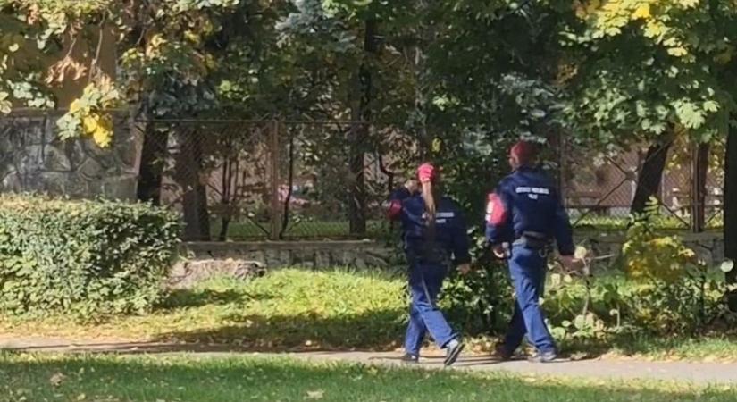 Rendőrök a Selyemréten? Kiderült, mi áll a dolog hátterében: ezt biztos nem gondolta volna!