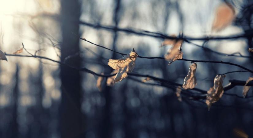 Hirtelen lehűlés söpör végig a megyén – Mutatjuk, mire számíts!