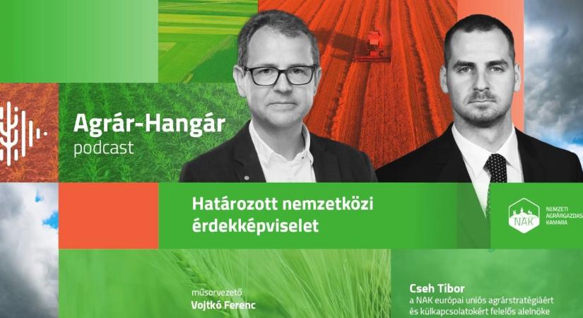 Brüsszel az agráriumon spórolna – a támogatás-elvonás a magyar gazdák végét jelentheti