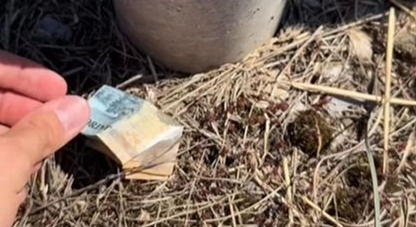 Ilyen van? Elásott vagyont talált a borsodi férfi egy udvaron, de aztán jöttek a törvényes örökösök