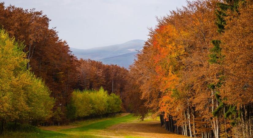 Enyhe és nedvesebb levegő érkezik
