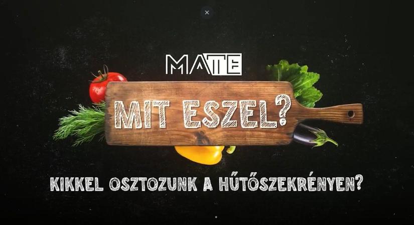 Kikkel osztozunk a hűtőn? – Nem csak az élelmiszerek lakják a polcokat